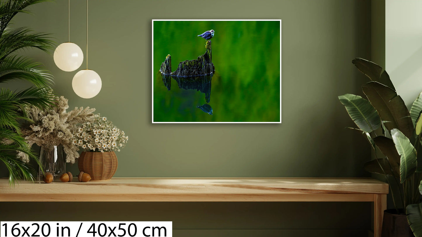 7. Guarding the lake