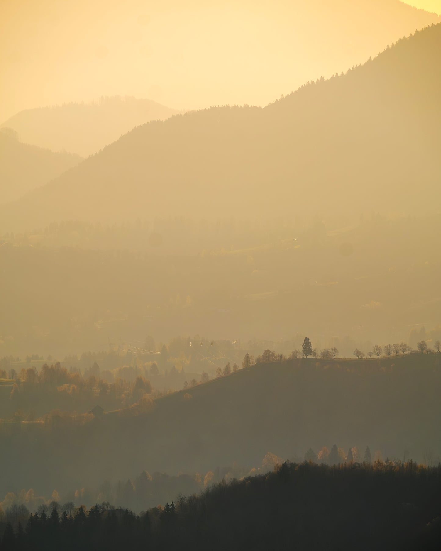 Rolling Hills #2