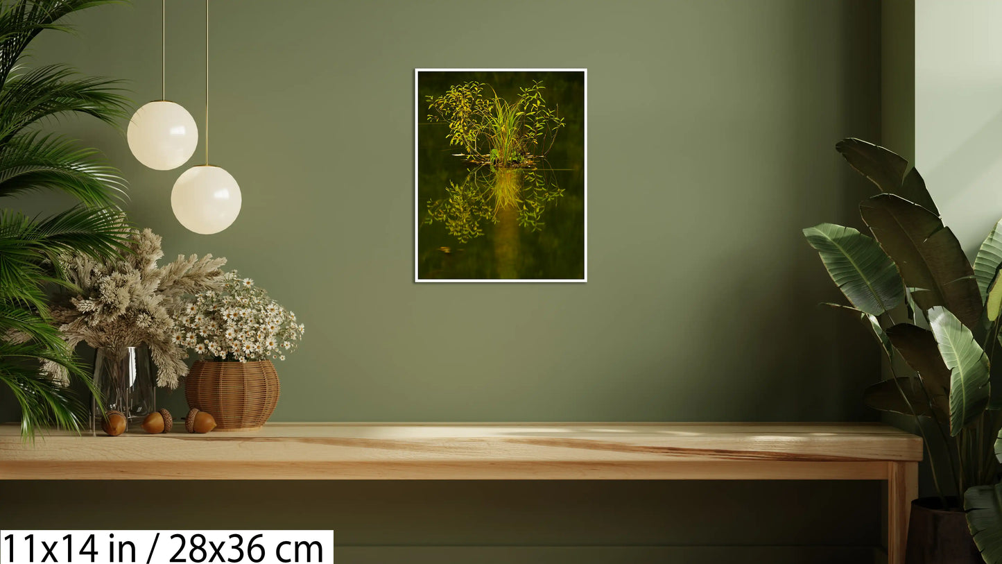 3. The light from inside