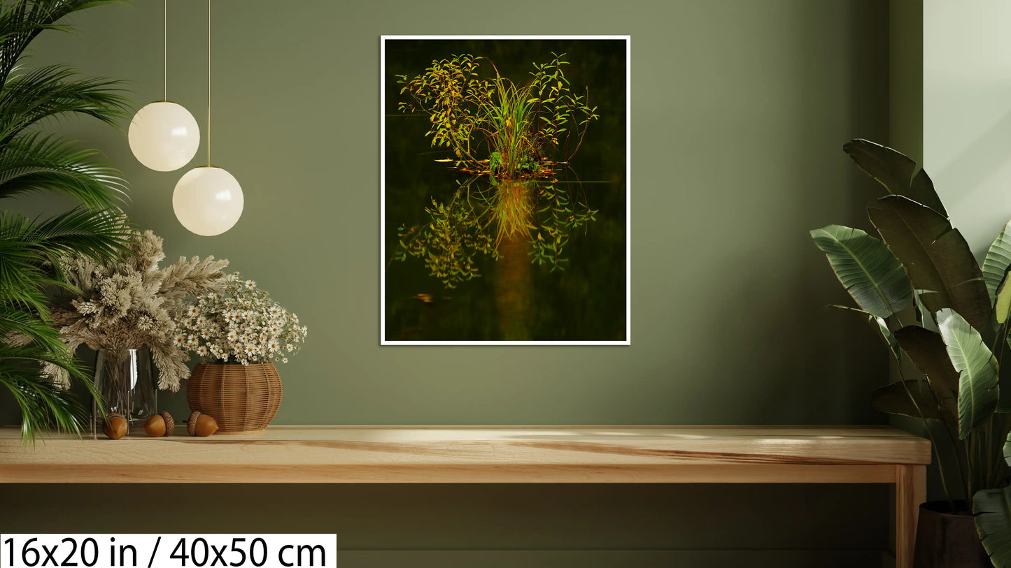 3. The light from inside