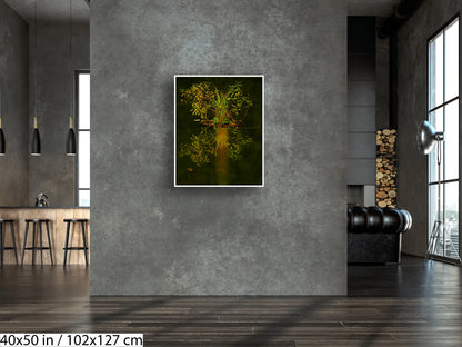 3. The light from inside